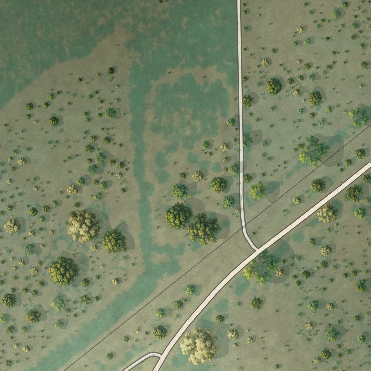 Second close-up of the map of Realitos, Texas print showing more streets and buildings