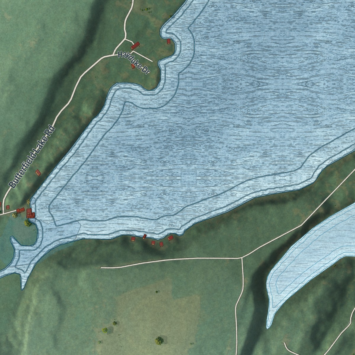 Second close-up of the map of Redwood, New York print showing more streets and buildings