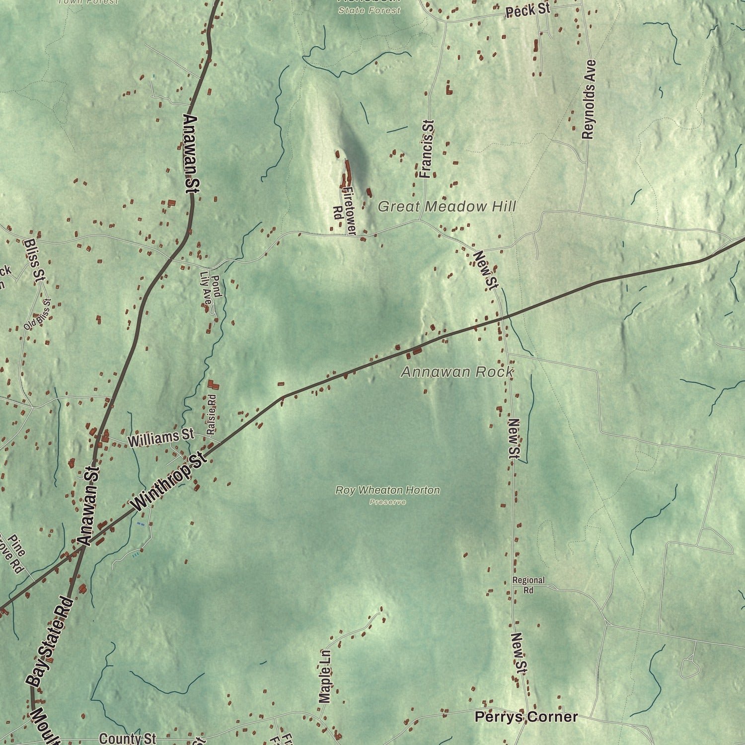 Close-up of the map of Rehoboth, Massachusetts print showing terrain and local geography