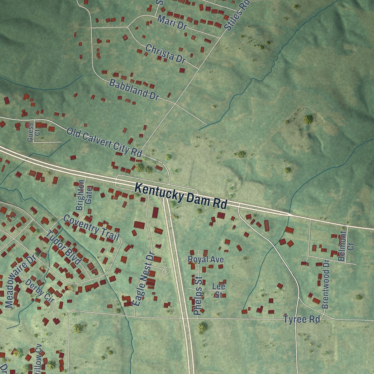 Second close-up of the map of Reidland, Kentucky print showing more streets and buildings