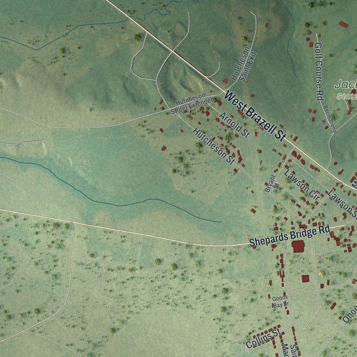 Second close-up of the map of Reidsville, Georgia print showing more streets and buildings