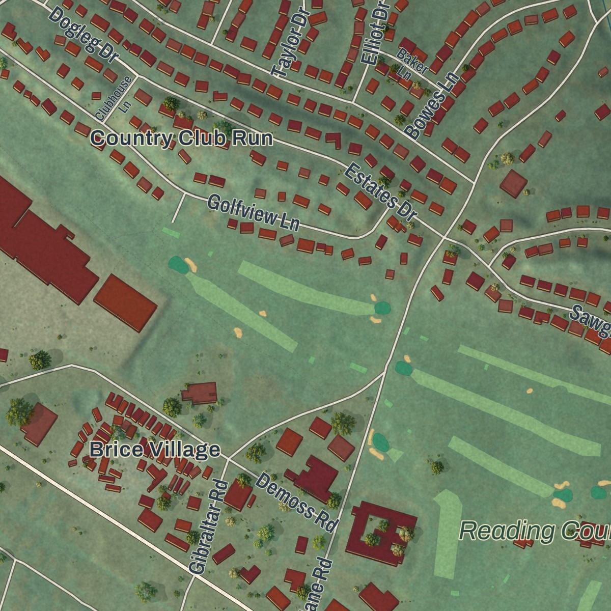 Second close-up of the map of Reiffton, Pennsylvania print showing more streets and buildings