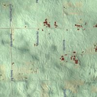 Second close-up of the map of Richland Township, Missaukee County, Michigan print showing more streets and buildings