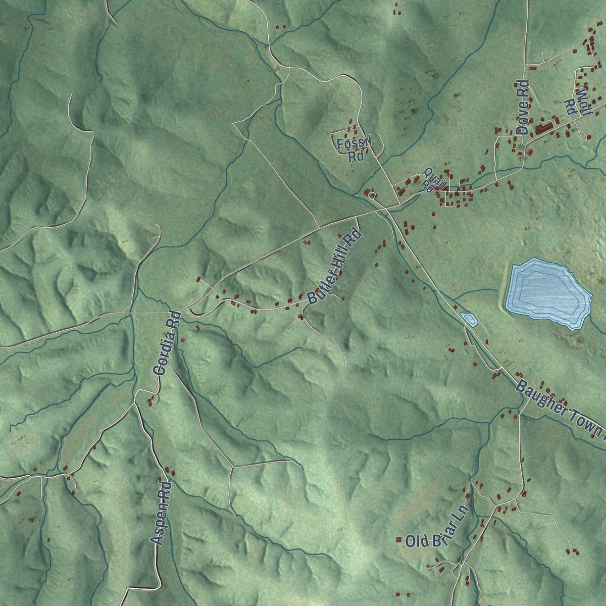 Second close-up of the map of Richwoods, Missouri print showing more streets and buildings