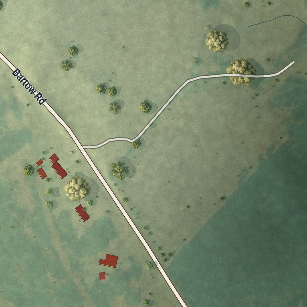 Second close-up of the map of Riddleville, Georgia print showing more streets and buildings