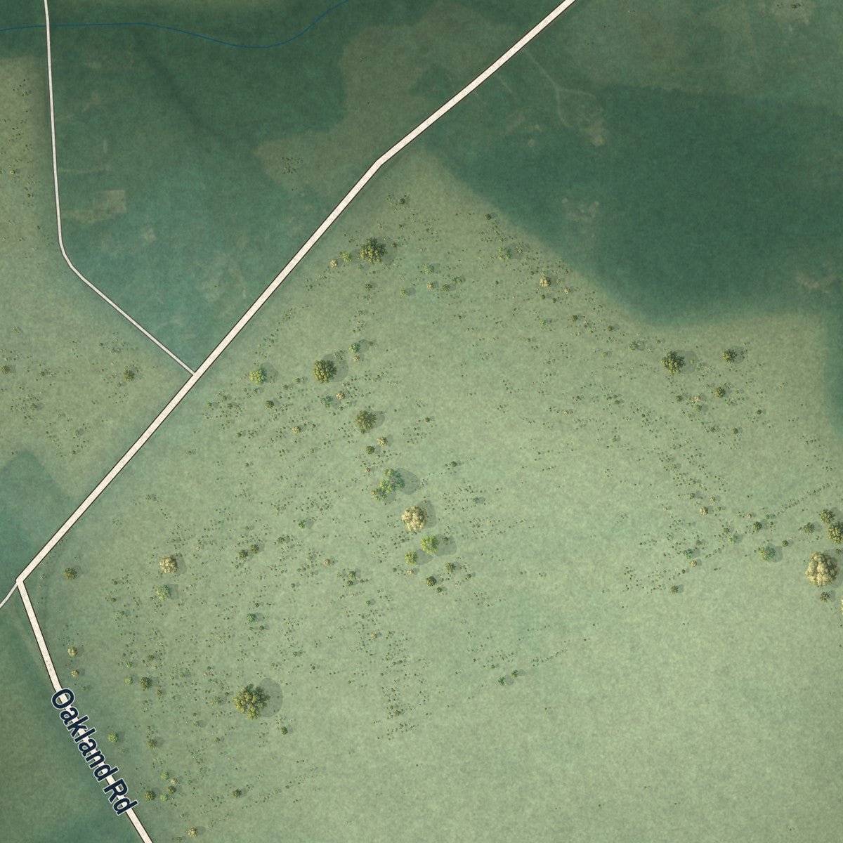 Second close-up of the map of Ridgely, Maryland print showing more streets and buildings