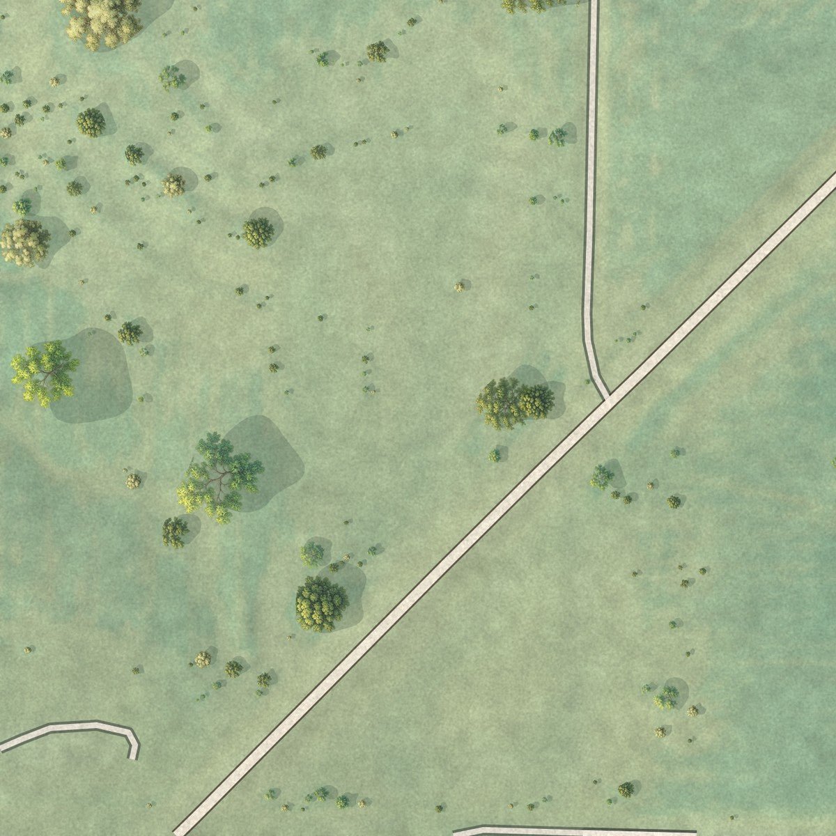 Second close-up of the map of Ripley, Illinois print showing more streets and buildings