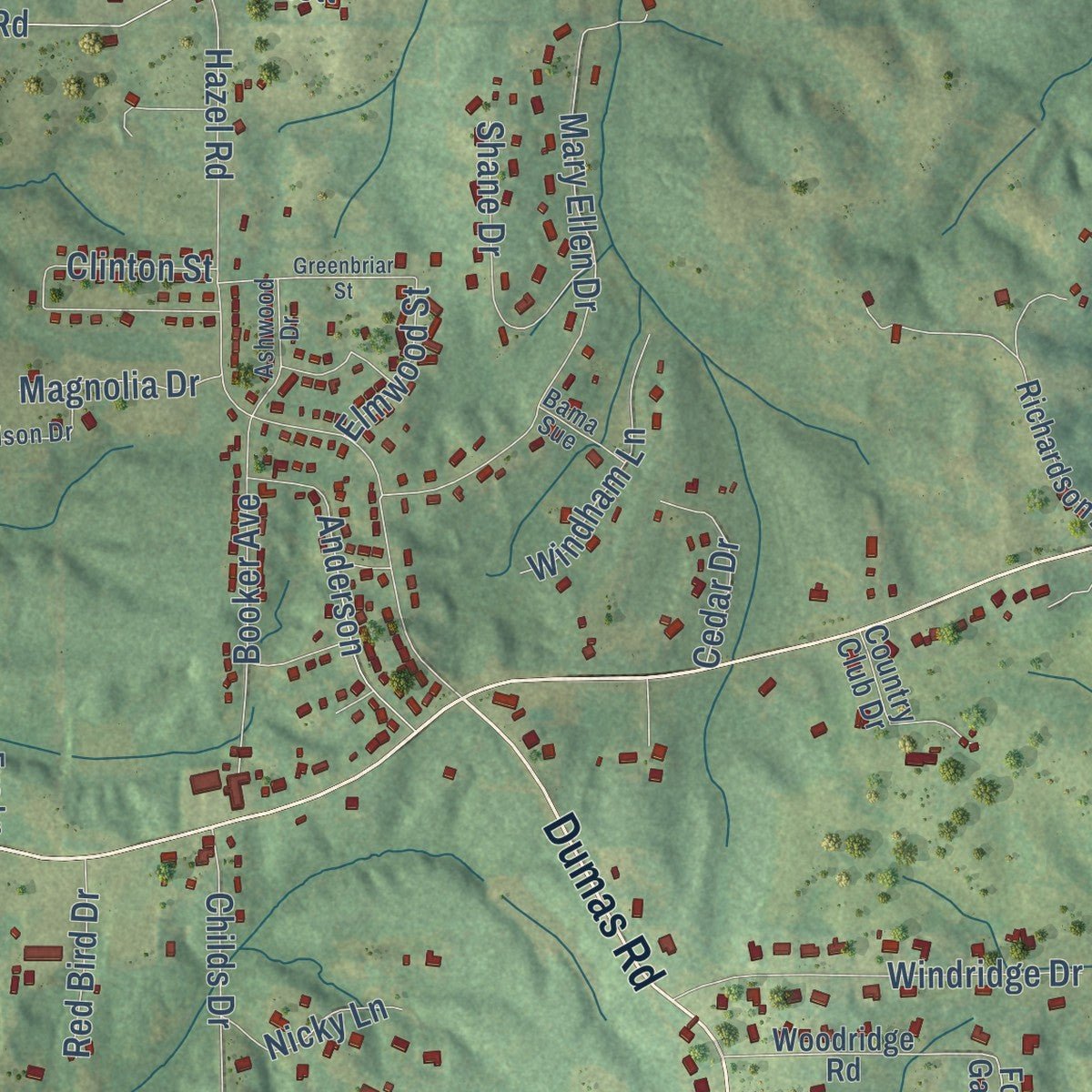 Second close-up of the map of Ripley, Mississippi print showing more streets and buildings