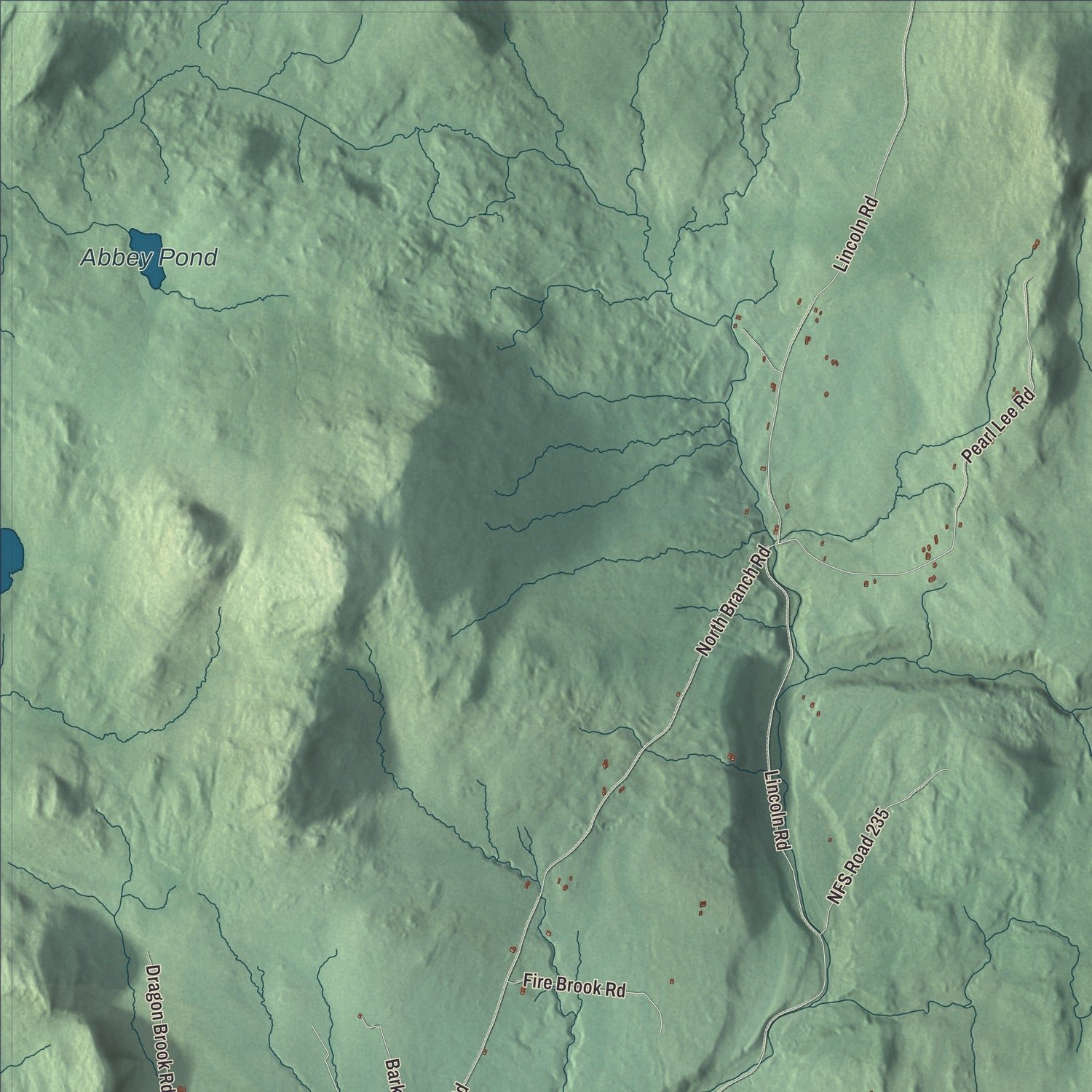 Close-up of the map of Ripton, Vermont print showing terrain and local geography