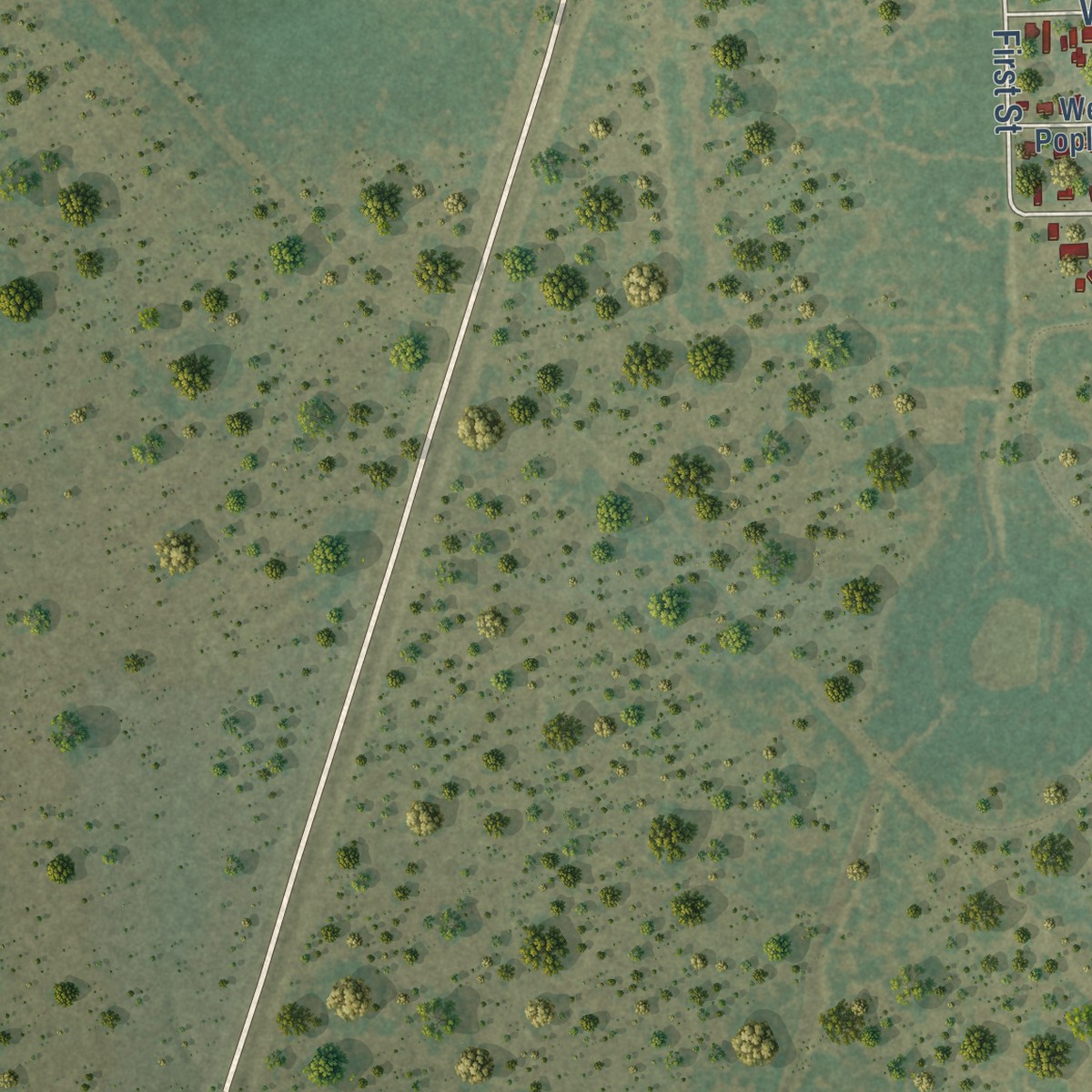 Second close-up of the map of Riviera, Texas print showing more streets and buildings