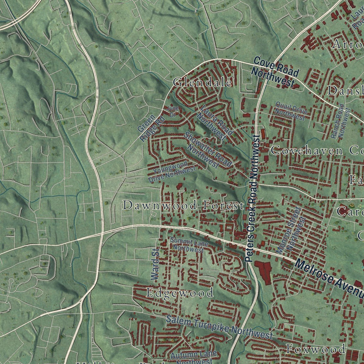 Second close-up of the map of Roanoke, Virginia print showing more streets and buildings