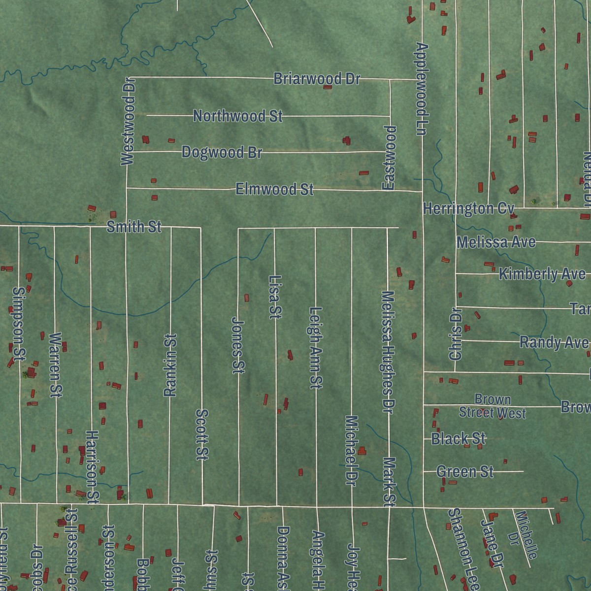 Second close-up of the map of Robinhood, Mississippi print showing more streets and buildings