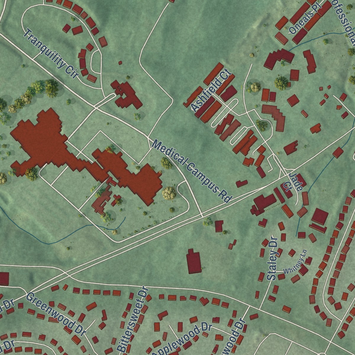 Second close-up of the map of Robinwood, Maryland print showing more streets and buildings