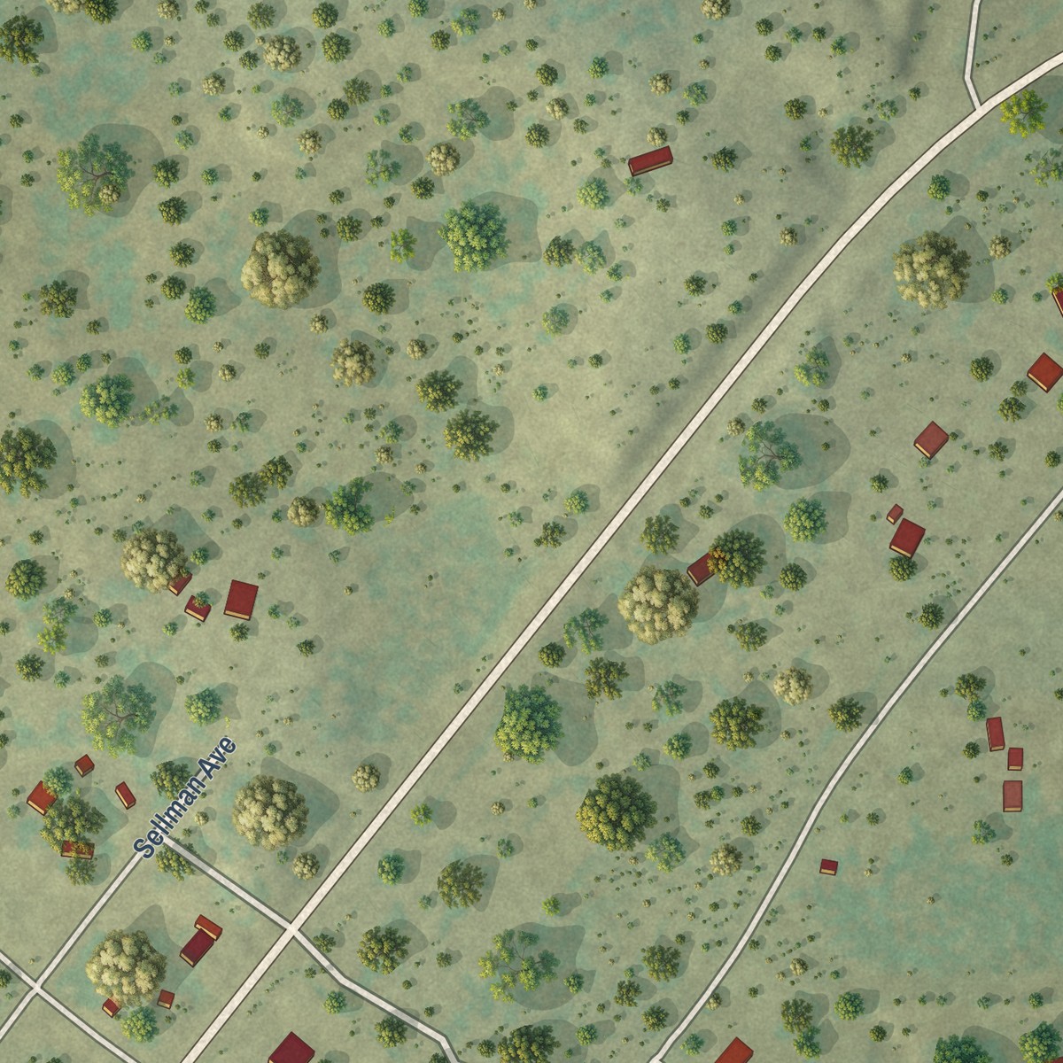 Second close-up of the map of Rochelle, Texas print showing more streets and buildings