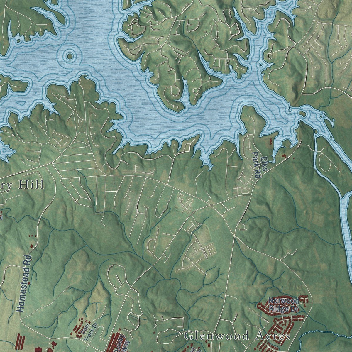 Second close-up of the map of Rock Hill, South Carolina print showing more streets and buildings
