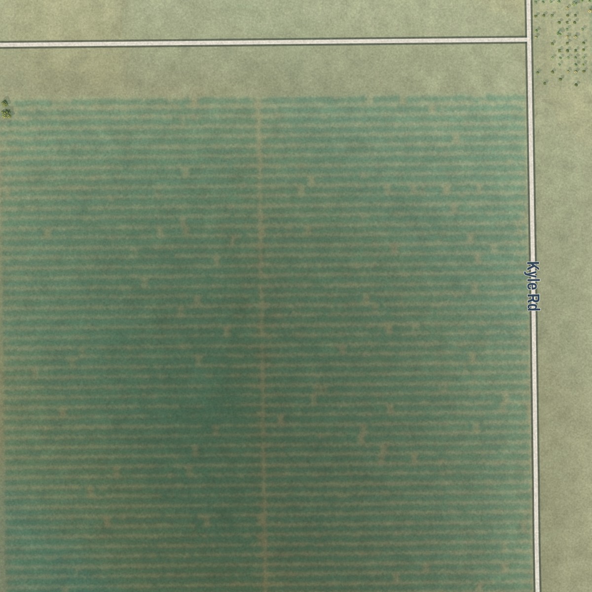 Second close-up of the map of Rodriguez Camp, California print showing more streets and buildings