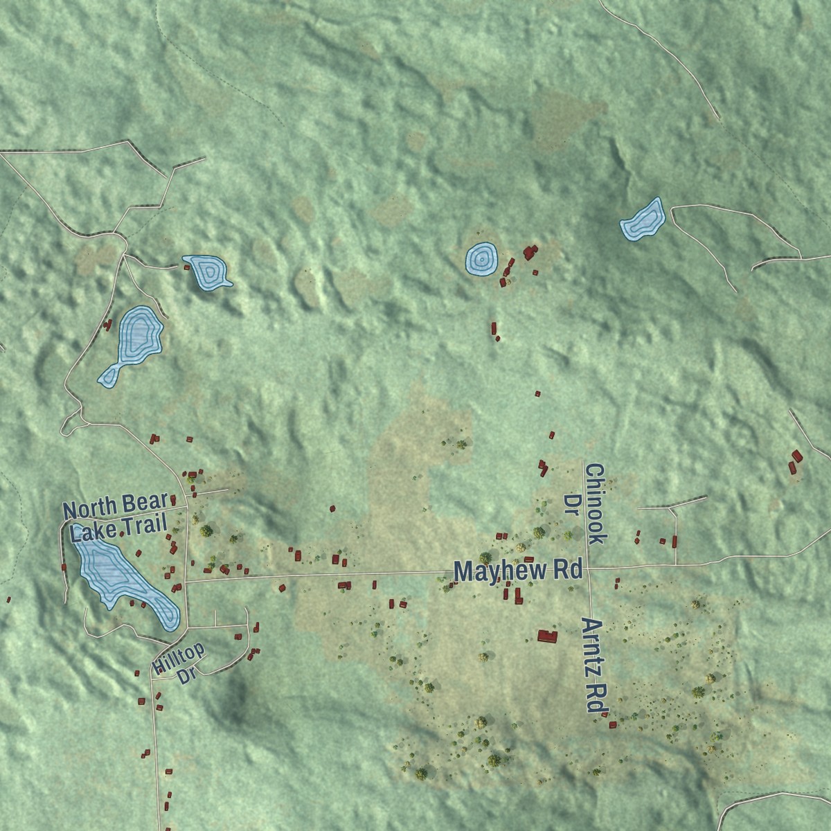 Second close-up of the map of Rose, Ogemaw County, Michigan print showing more streets and buildings