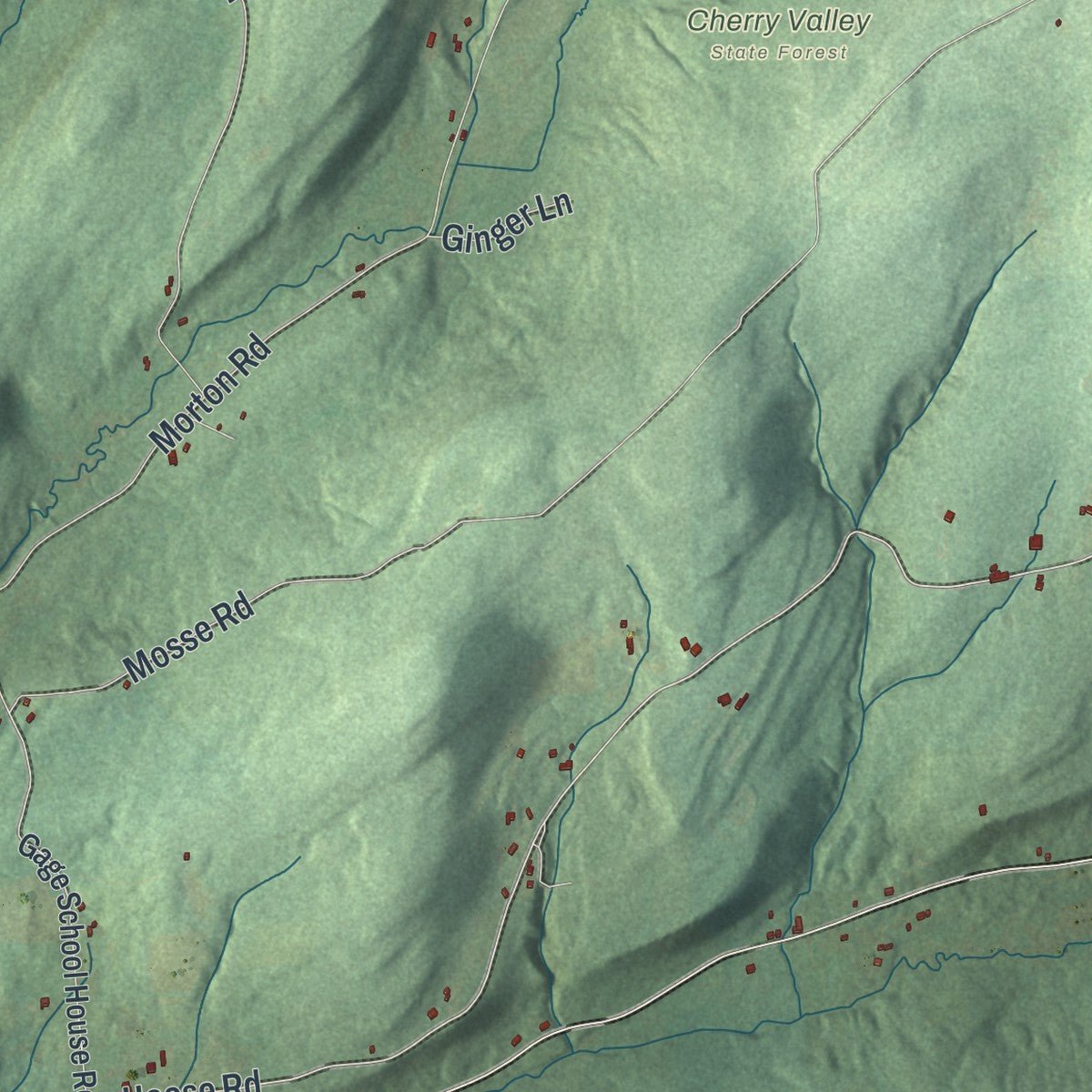 Second close-up of the map of Roseboom, New York print showing more streets and buildings