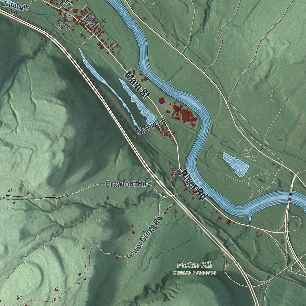Second close-up of the map of Rotterdam, New York print showing more streets and buildings