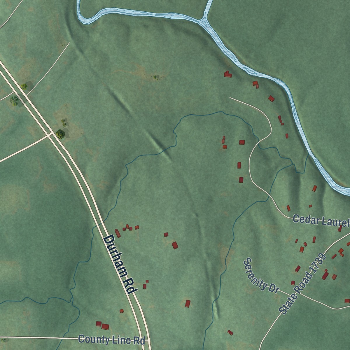 Second close-up of the map of Rougemont, North Carolina print showing more streets and buildings