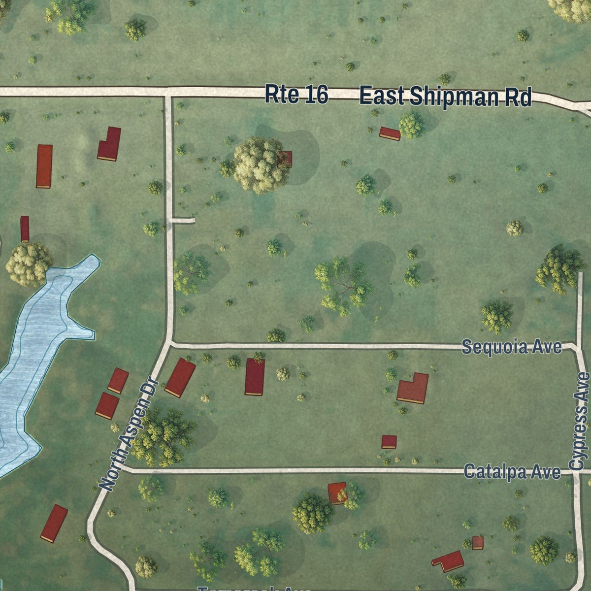 Second close-up of the map of Royal Lakes, Illinois print showing more streets and buildings