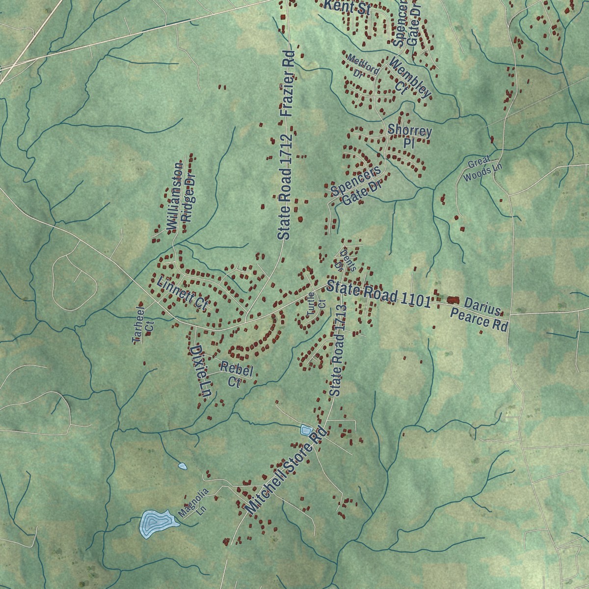 Second close-up of the map of Royal, North Carolina print showing more streets and buildings