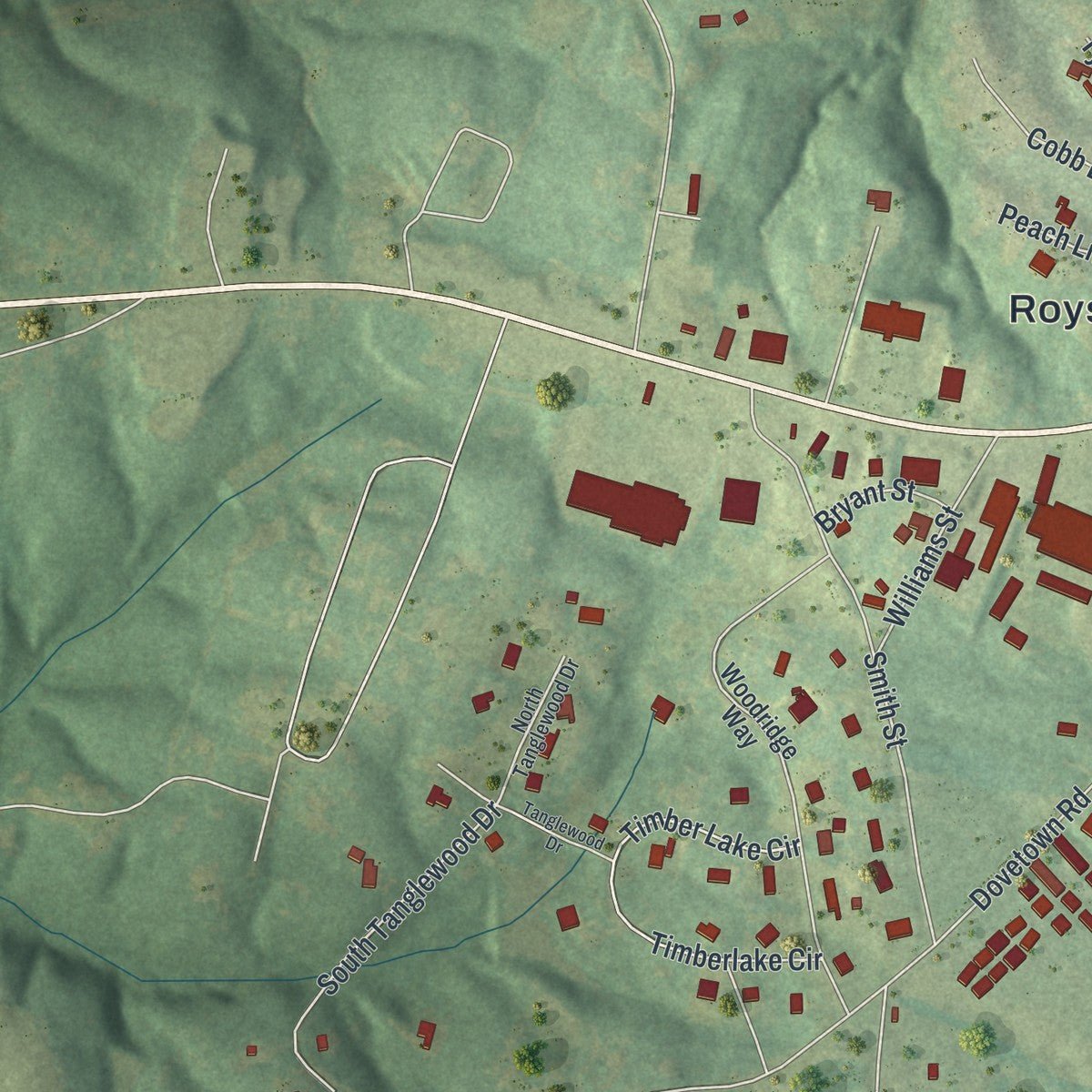 Second close-up of the map of Royston, Georgia print showing more streets and buildings