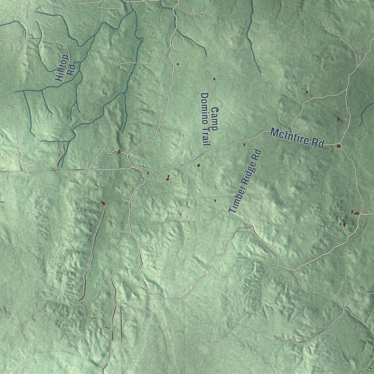 Second close-up of the map of Rust, Michigan print showing more streets and buildings