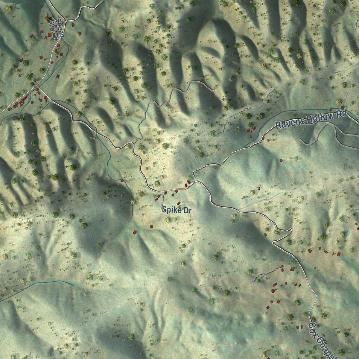 Second close-up of the map of Rye Cove, Virginia print showing more streets and buildings