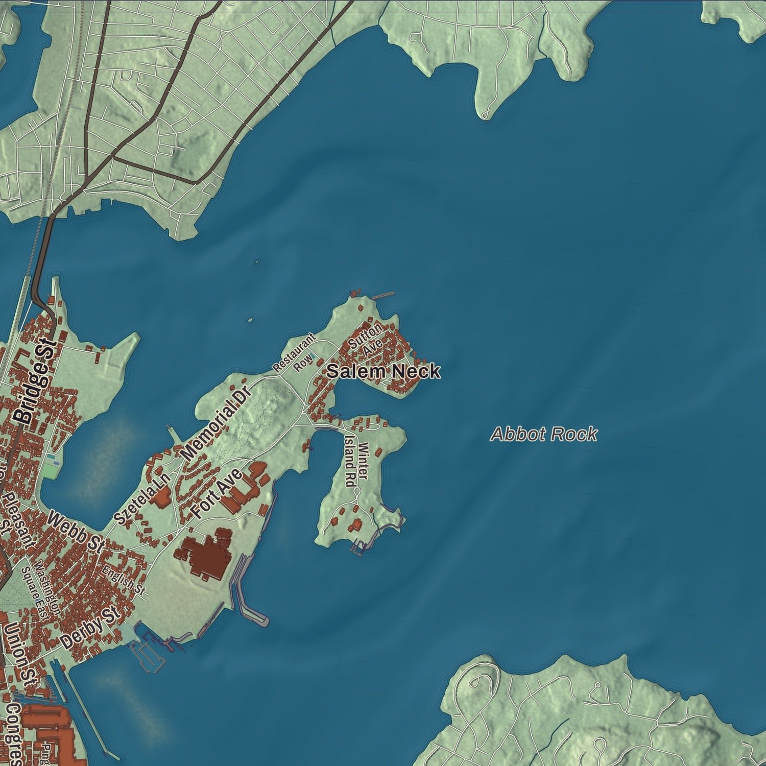 Close-up of the map of Salem, Massachusetts print showing terrain and local geography