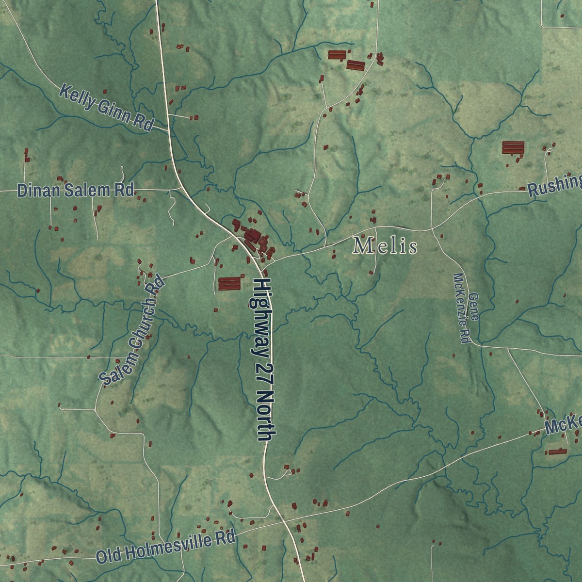 Second close-up of the map of Salem, Mississippi print showing more streets and buildings