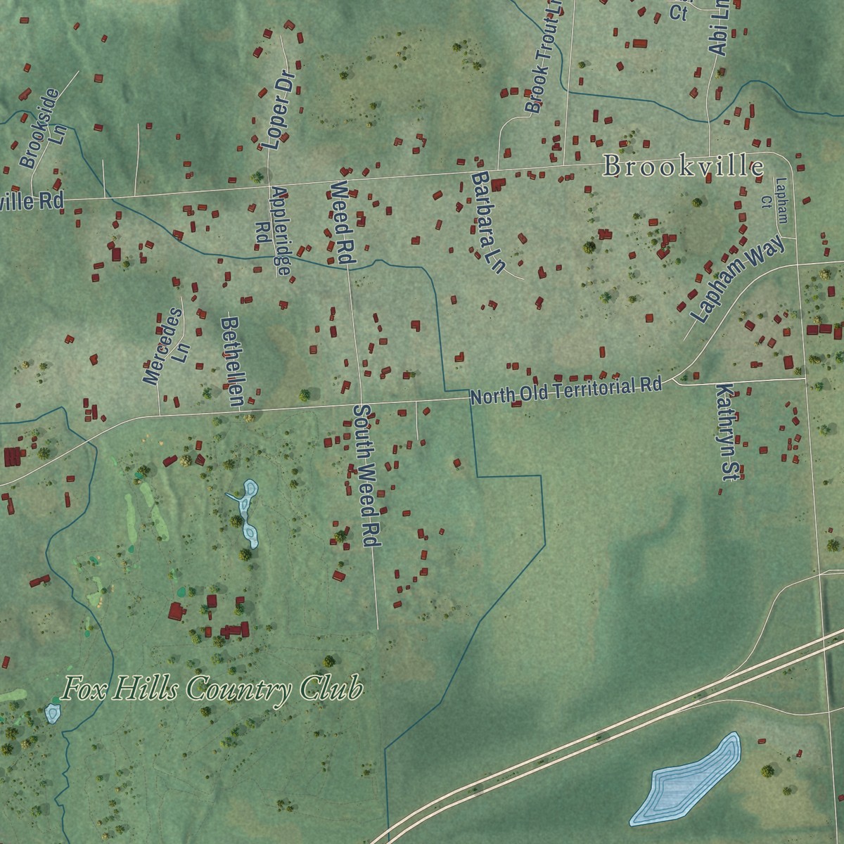 Second close-up of the map of Salem, Washtenaw County, Michigan print showing more streets and buildings