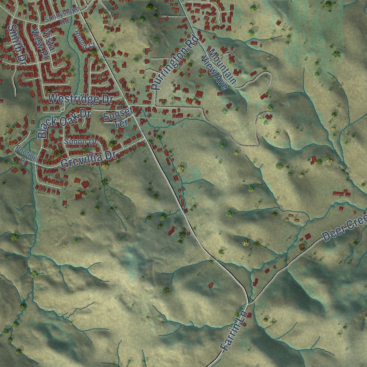 Second close-up of the map of San Antonio, California print showing more streets and buildings