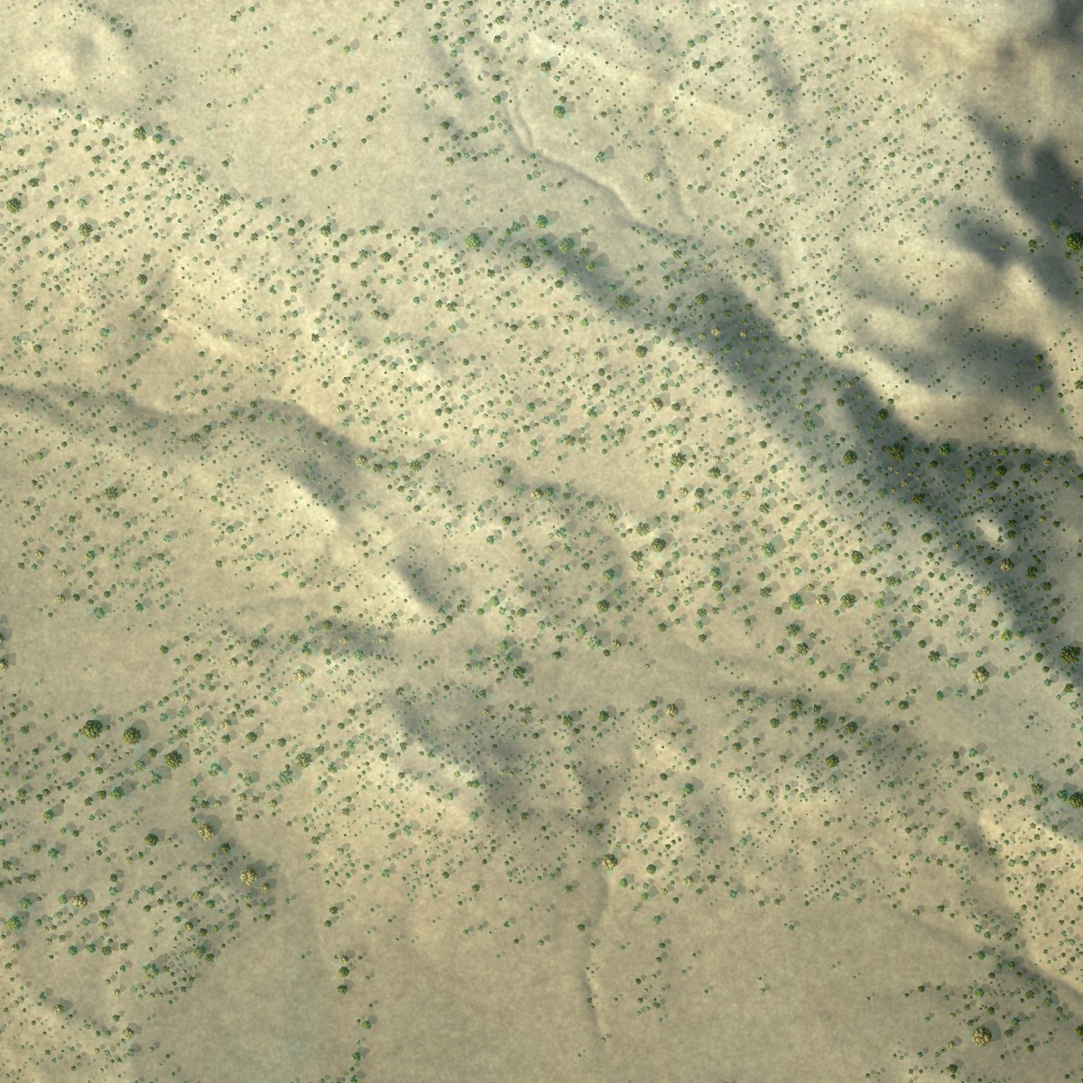 Second close-up of the map of San Fidel, New Mexico print showing more streets and buildings