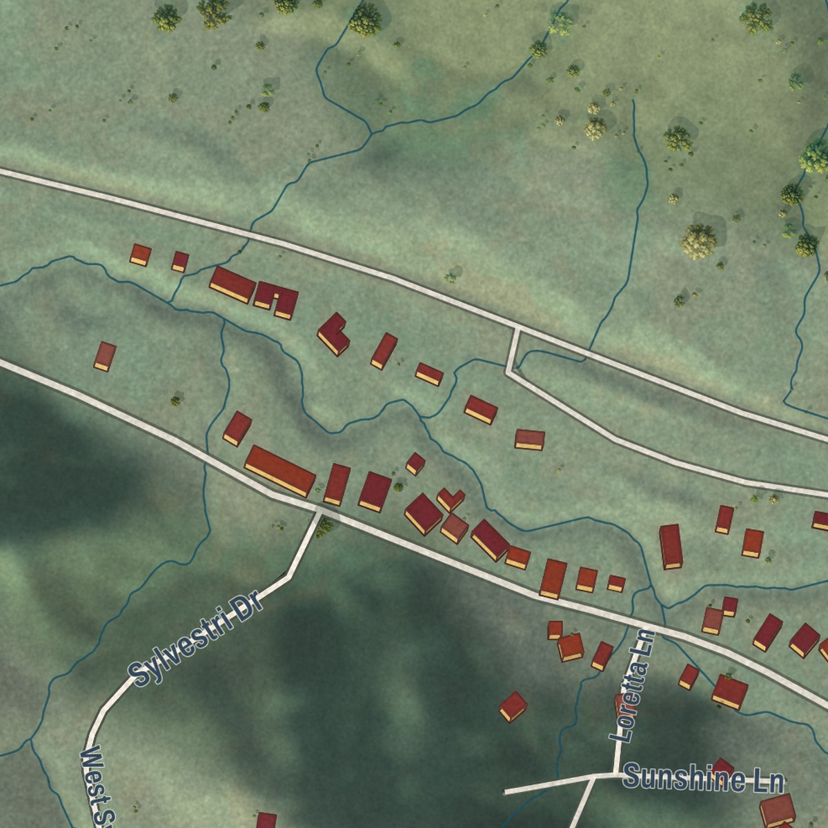 Second close-up of the map of San Geronimo, California print showing more streets and buildings