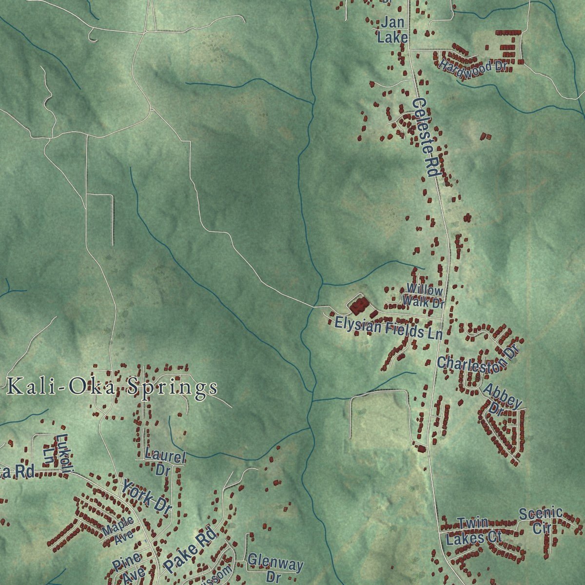 Second close-up of the map of Saraland, Alabama print showing more streets and buildings