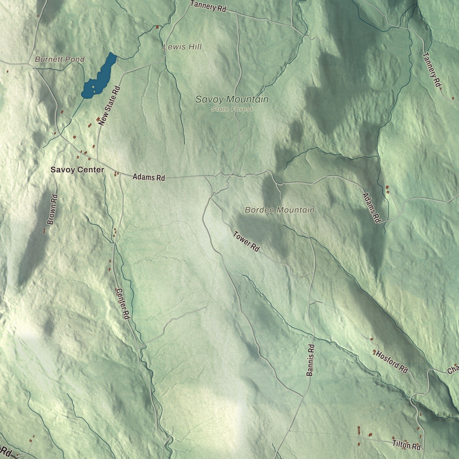 Close-up of the map of Savoy, Massachusetts print showing terrain and local geography