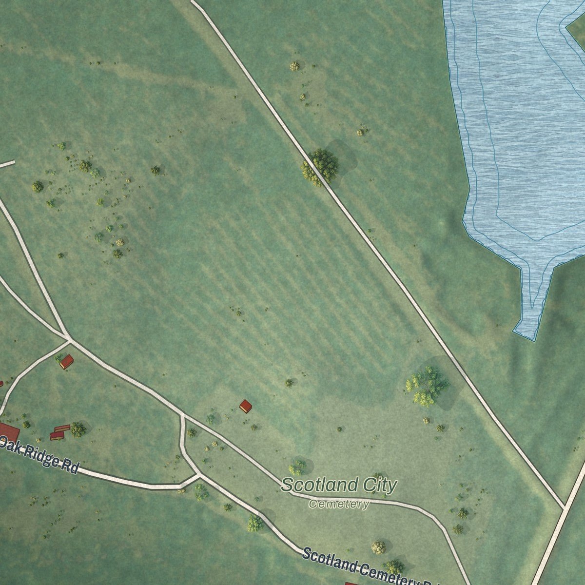 Second close-up of the map of Scotland, Georgia print showing more streets and buildings