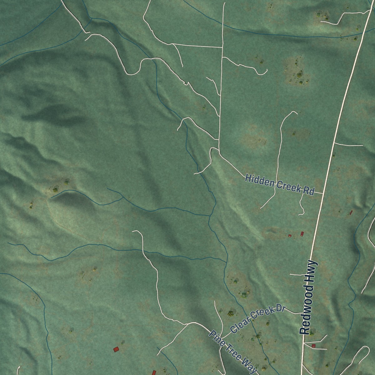 Second close-up of the map of Selma, Oregon print showing more streets and buildings
