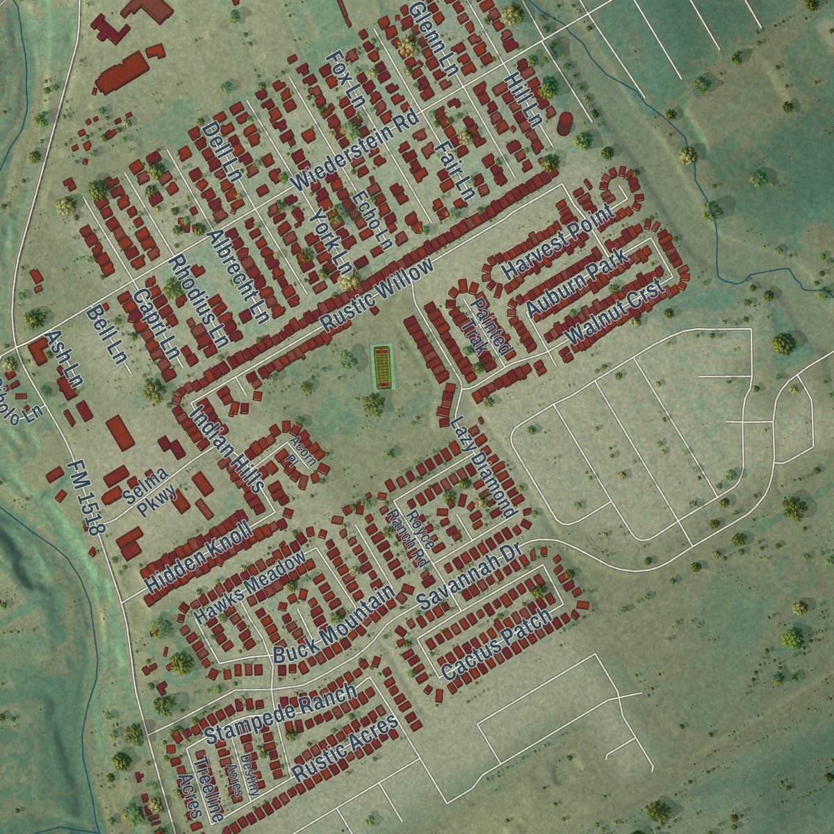 Second close-up of the map of Selma, Texas print showing more streets and buildings