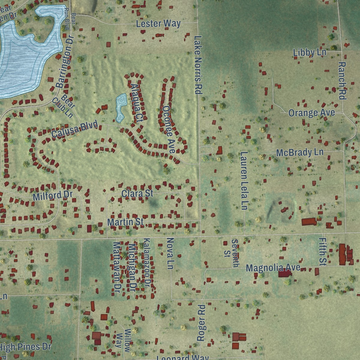 Second close-up of the map of Seminole Springs, Florida print showing more streets and buildings