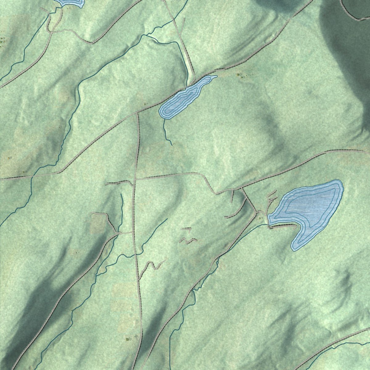 Second close-up of the map of Seward, New York print showing more streets and buildings