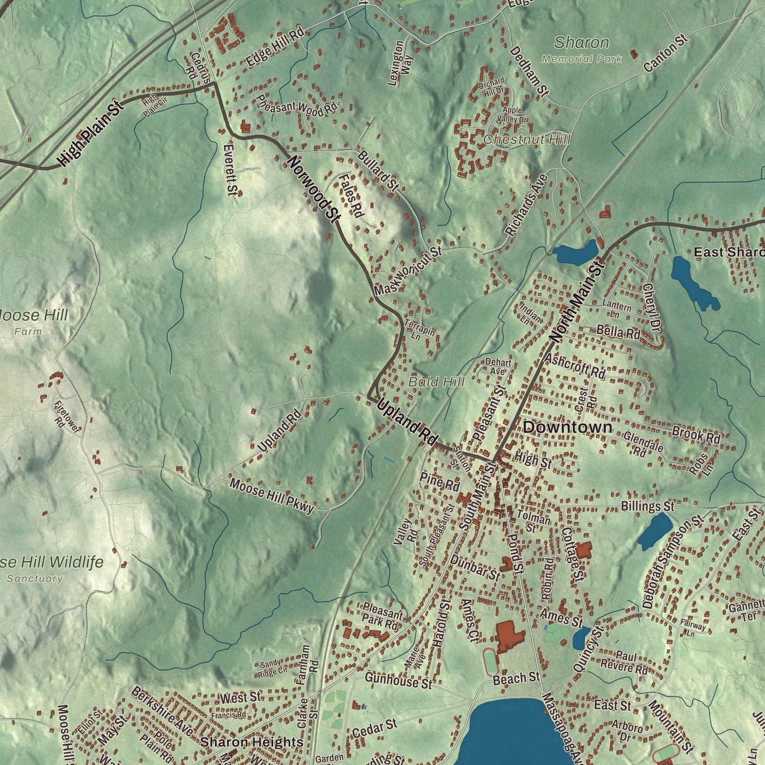 Close-up of the map of Sharon, Massachusetts print showing terrain and local geography