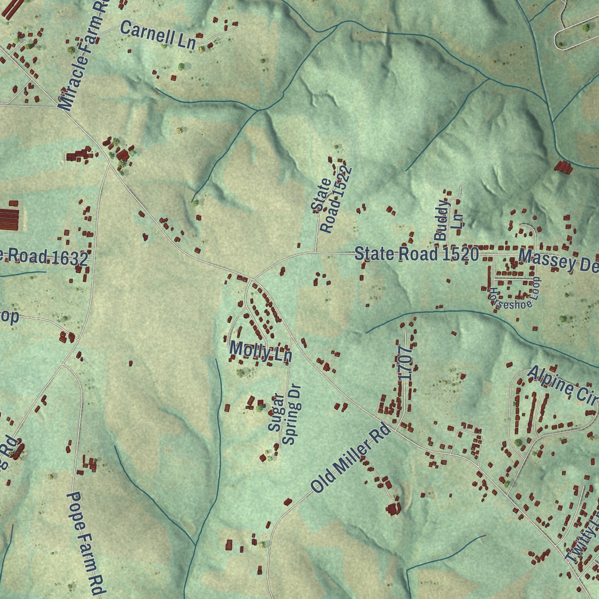 Second close-up of the map of Sharon, North Carolina print showing more streets and buildings
