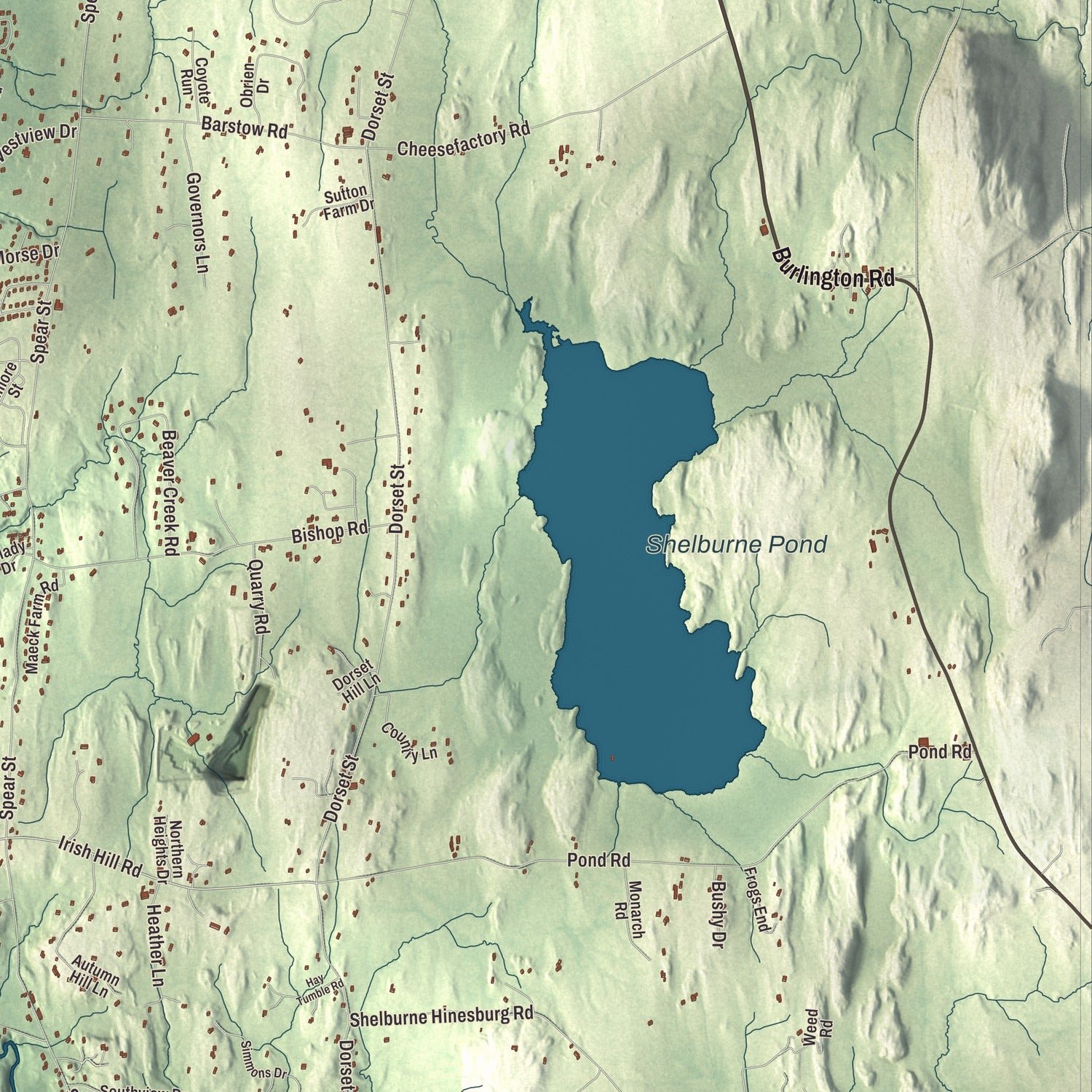 Close-up of the map of Shelburne, Vermont print showing terrain and local geography