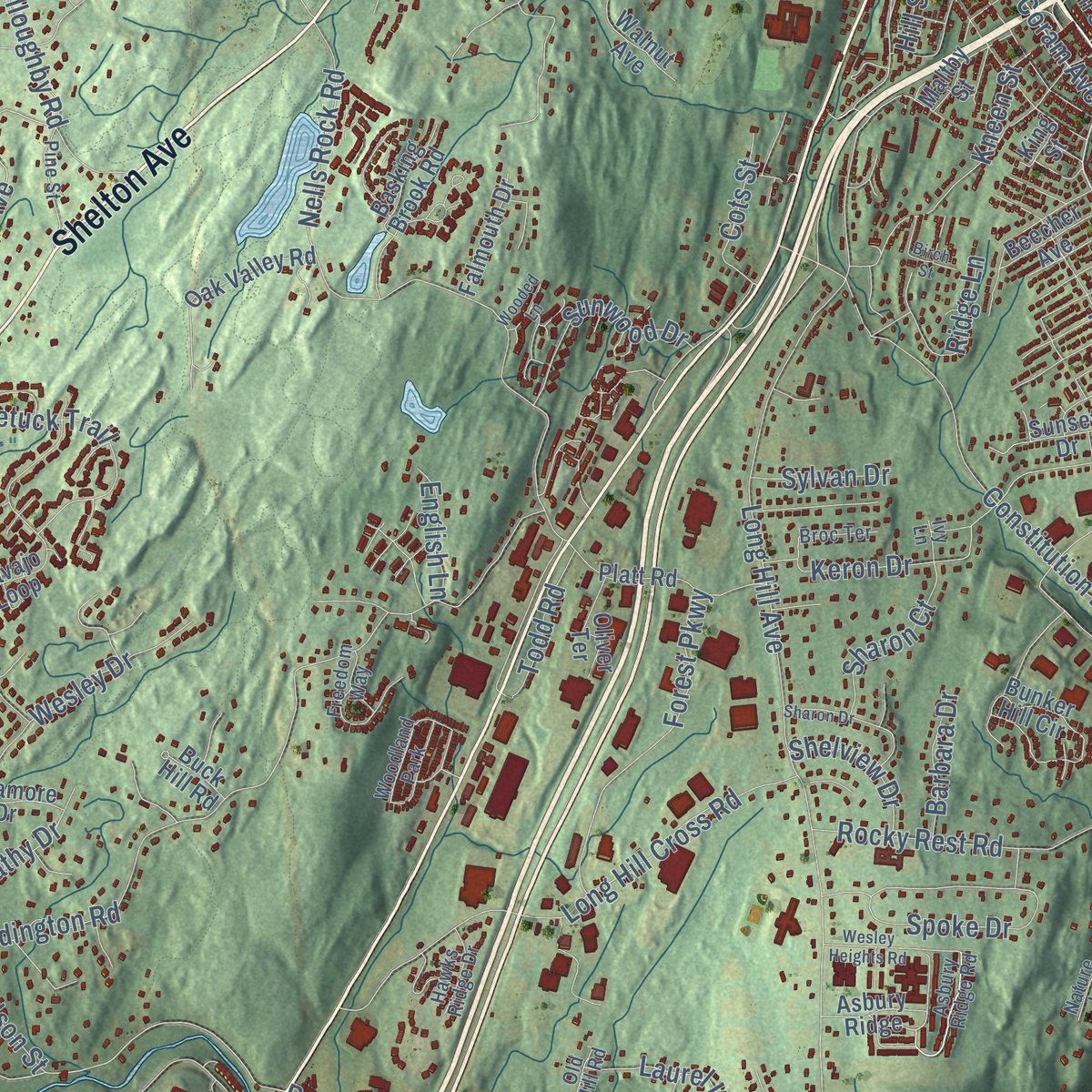 Second close-up of the map of Shelton, Connecticut print showing more streets and buildings