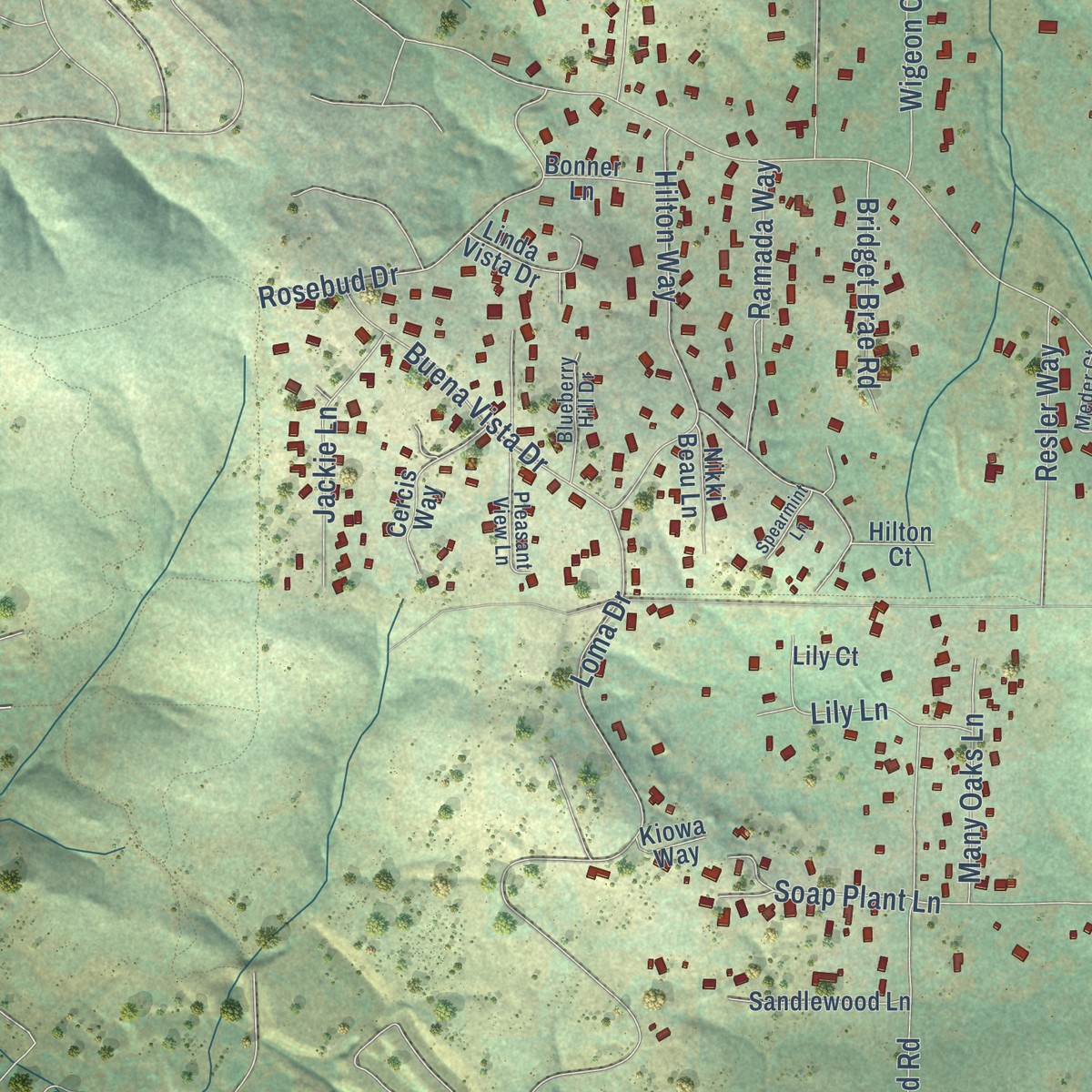 Second close-up of the map of Shingle Springs, California print showing more streets and buildings
