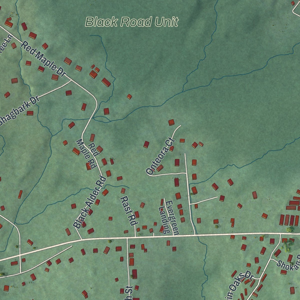 Second close-up of the map of Shokan, New York print showing more streets and buildings