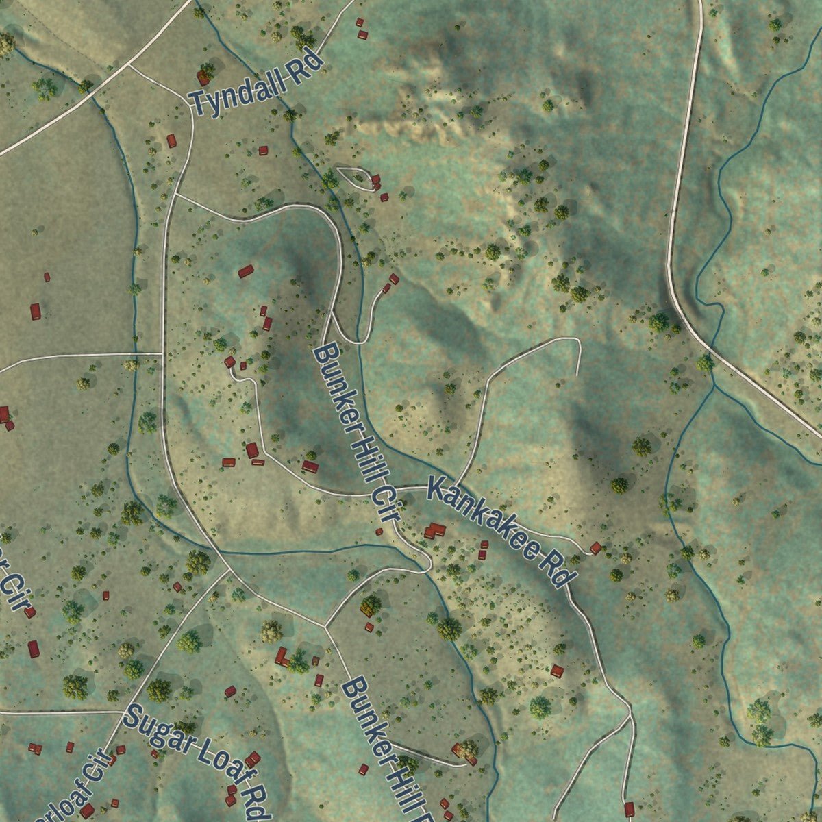 Second close-up of the map of Silver Cliff, Colorado print showing more streets and buildings