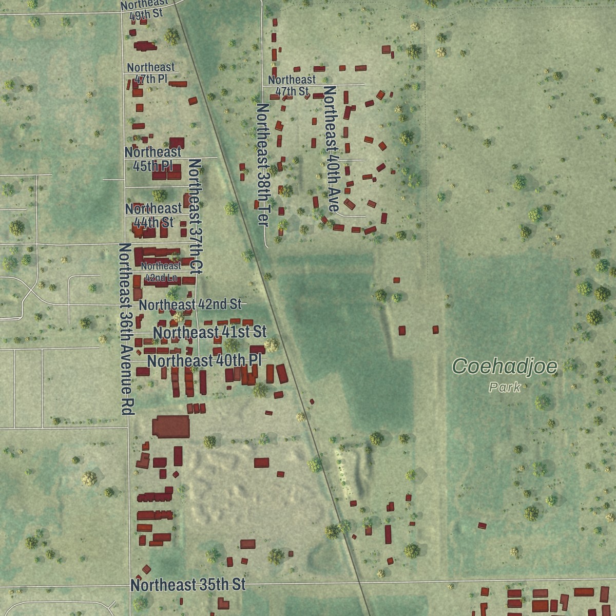 Second close-up of the map of Silver Springs, Florida print showing more streets and buildings